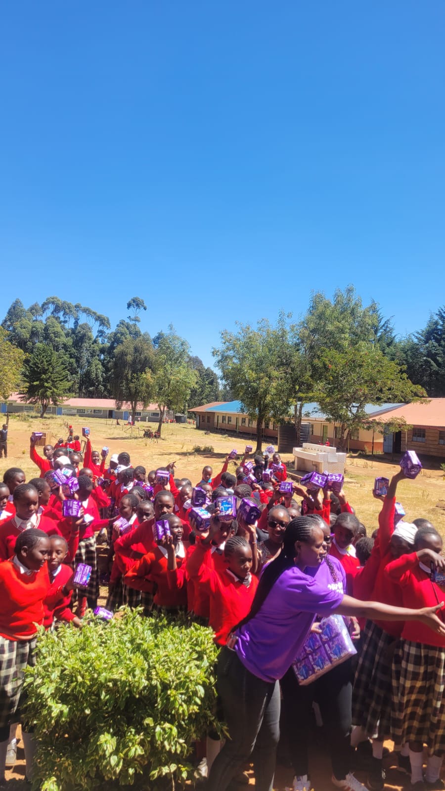 Second distribution photo 5